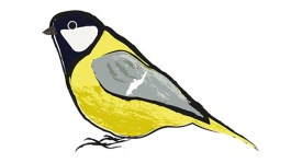 Vogels