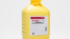Orvego®