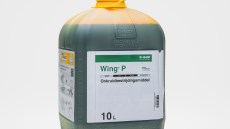 Wing® P